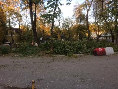 Прикрепленное изображение: IMG_0881.JPG